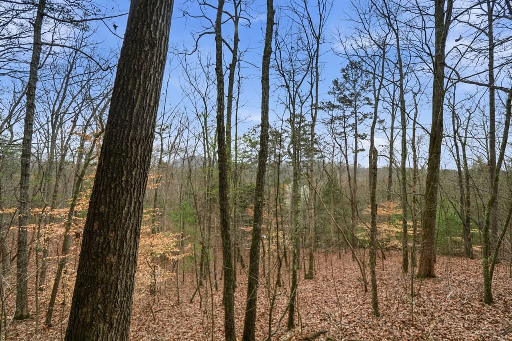 591 Oak Ridge Road, Ellijay GA 30536 - Photo