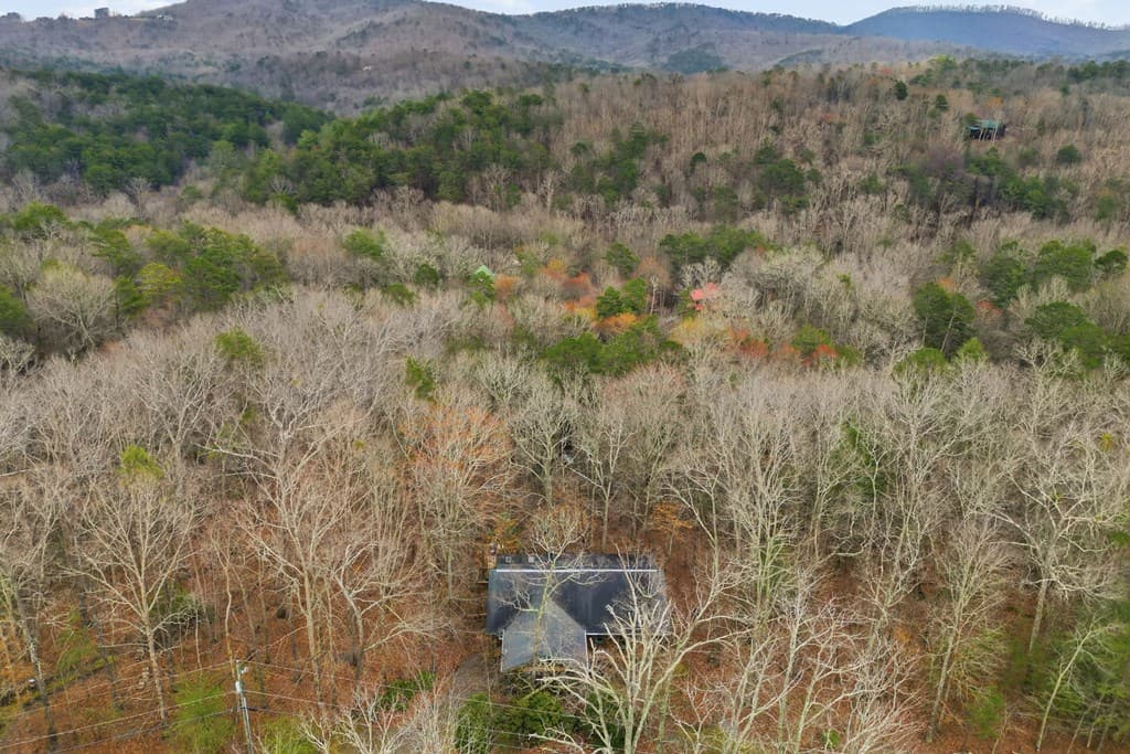 591 Oak Ridge Road, Ellijay GA 30536 - Photo
