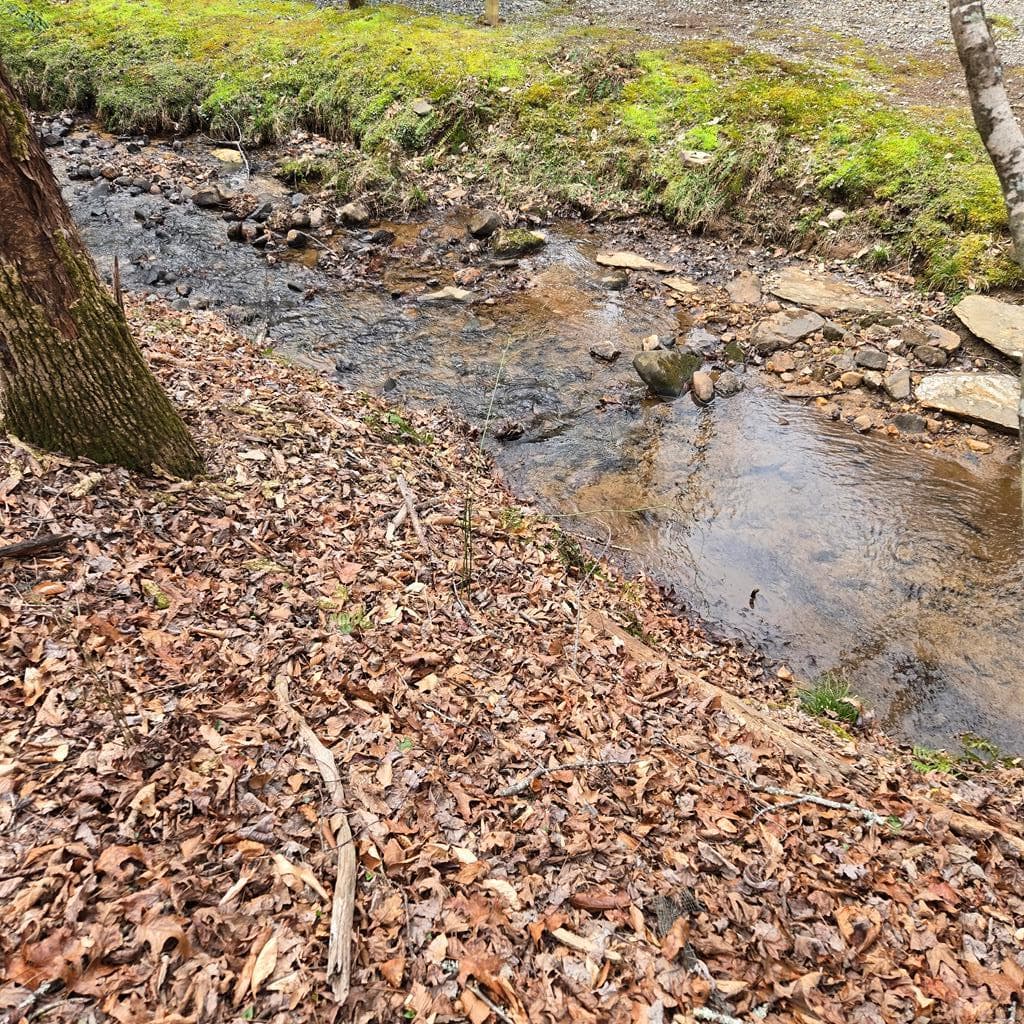 8.5 Blue Berry Ridge, Morganton GA 30560 - Photo