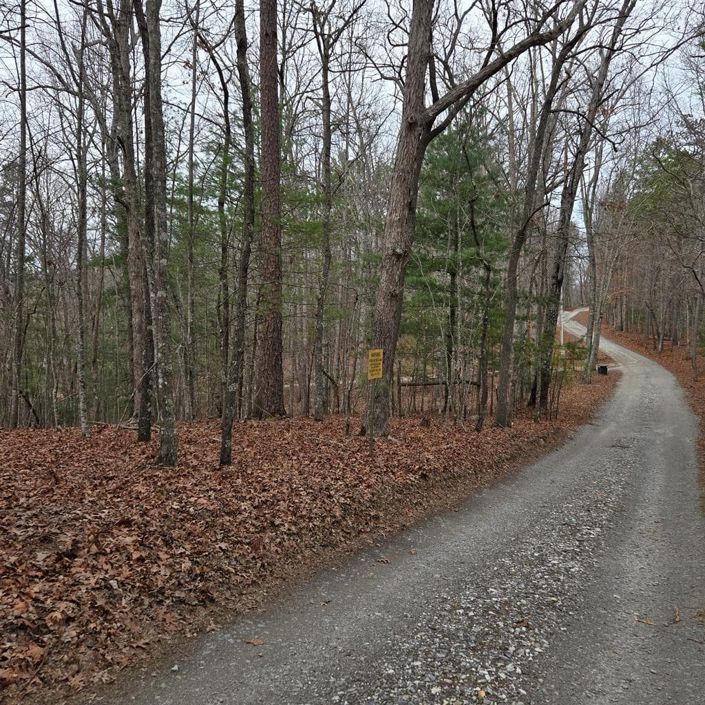 8.5 Blue Berry Ridge, Morganton GA 30560 - Primary photo