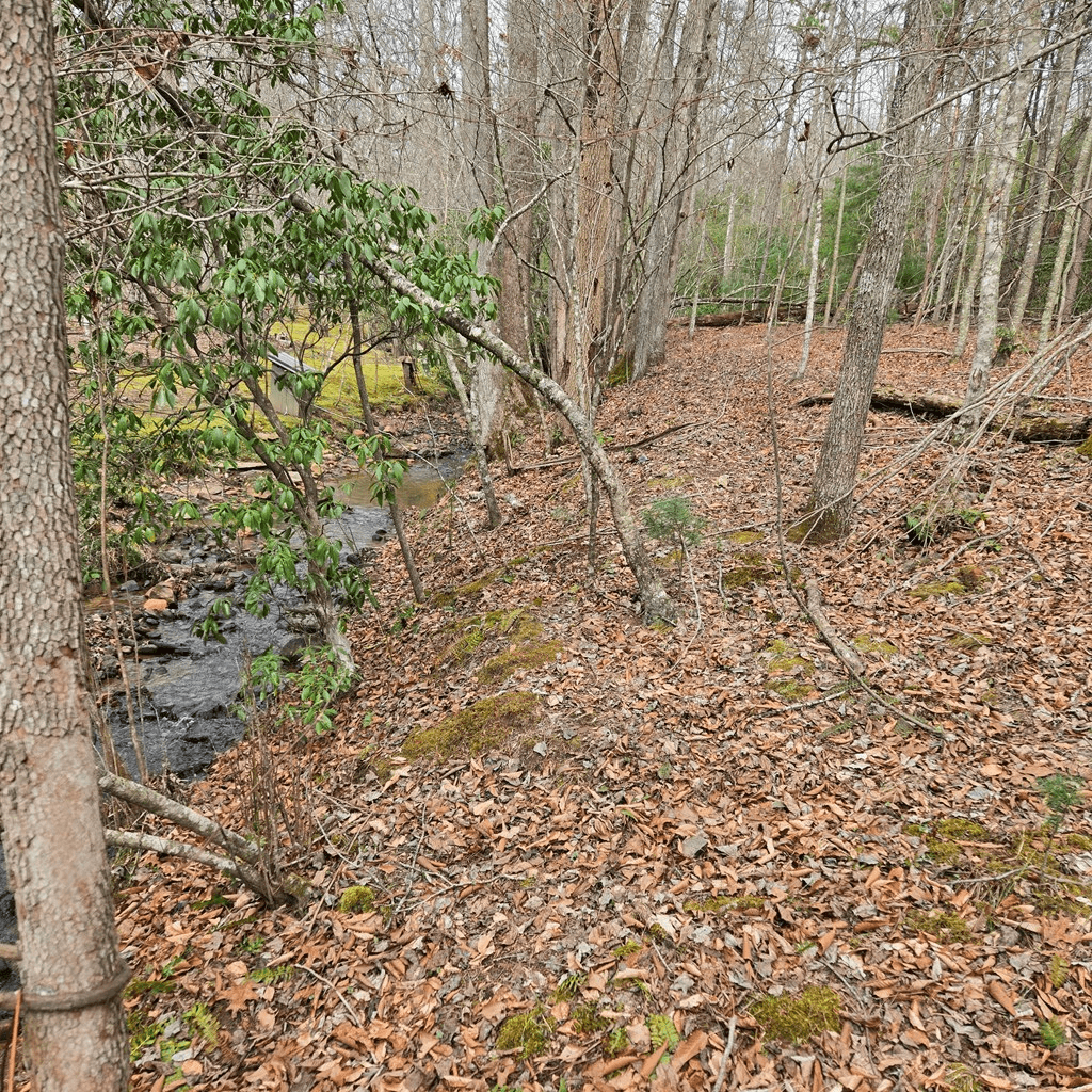 8.5 Blue Berry Ridge, Morganton GA 30560 - Photo