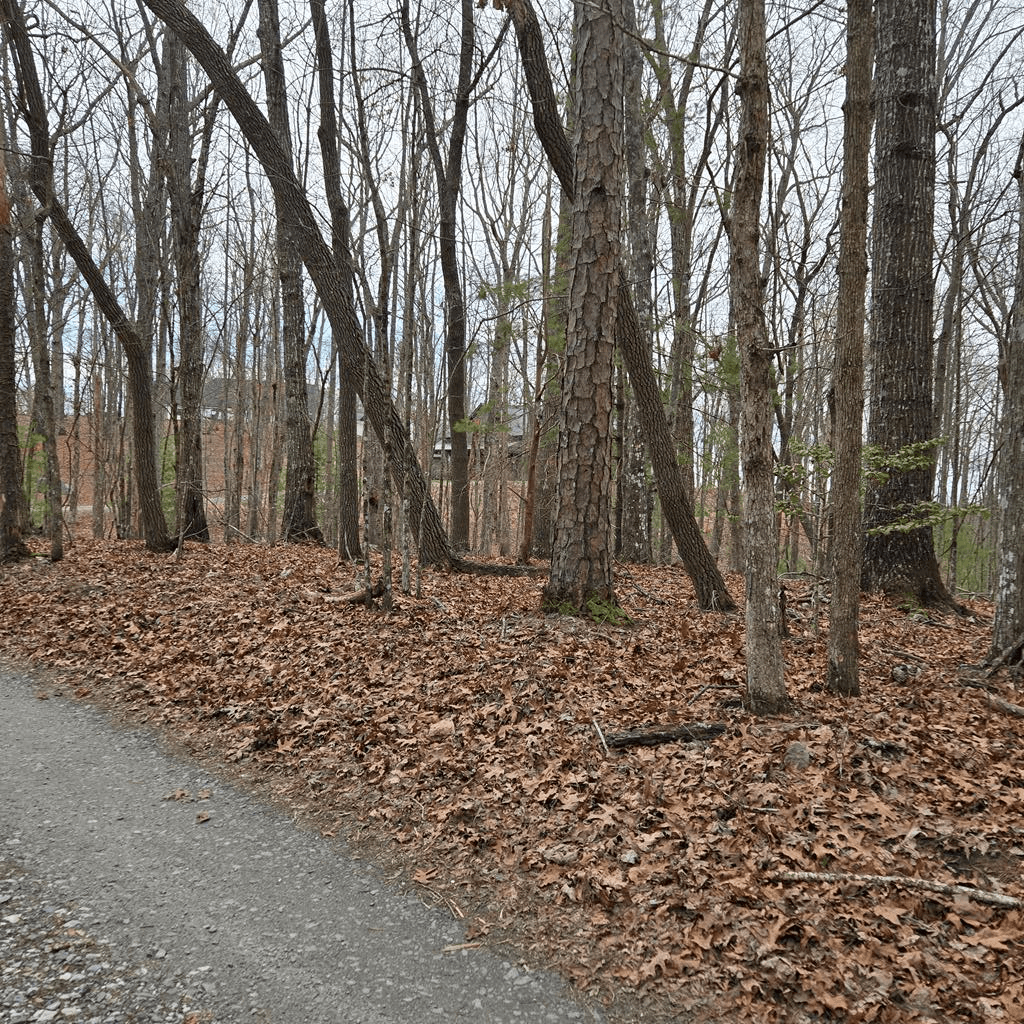 8.5 Blue Berry Ridge, Morganton GA 30560 - Photo