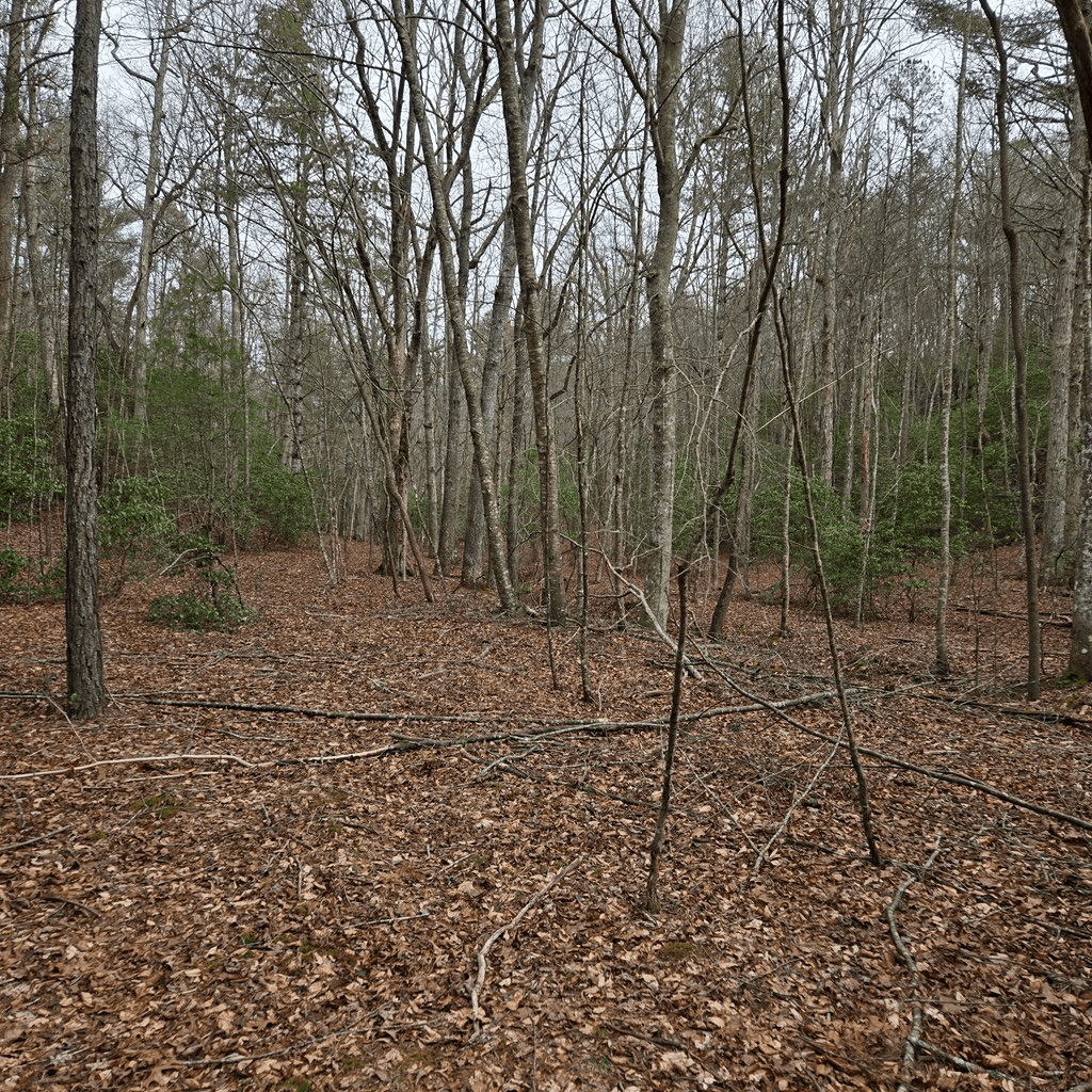 8.5 Blue Berry Ridge, Morganton GA 30560 - Photo