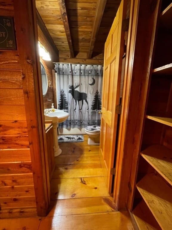 439 Conley Branch Road, Blue Ridge GA 30513 - Photo