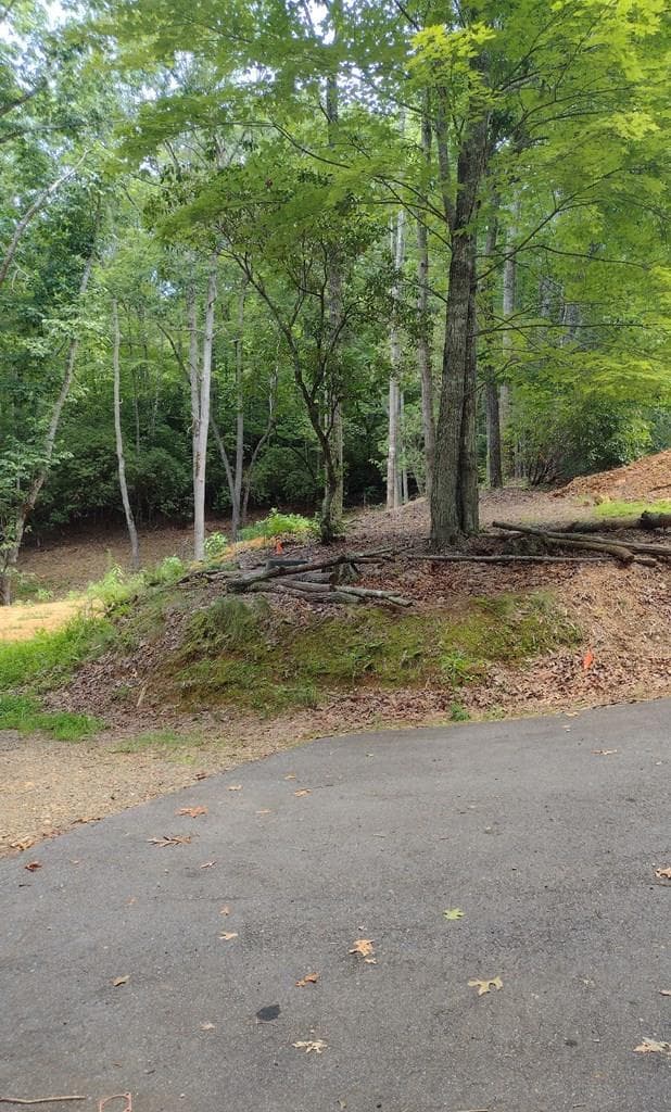 0 Radiant Cove, Brasstown NC 28902 - Photo