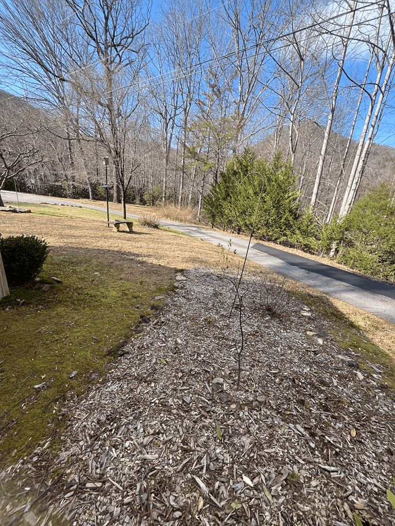 32 Nelson Road, Hiawassee GA 30546 - Photo