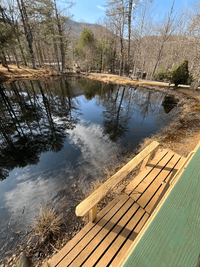 32 Nelson Road, Hiawassee GA 30546 - Photo