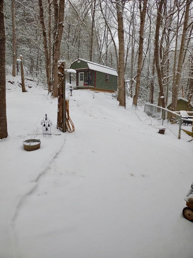 124 Cold Branch Lane, Hayesville NC 28904 - Photo