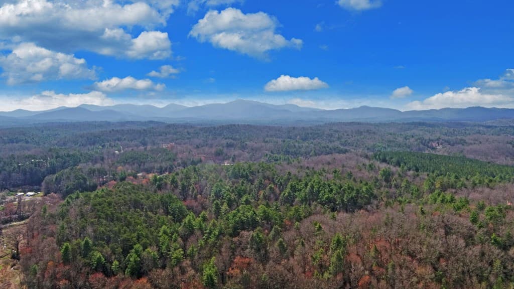 140 Newman Road, Farner TN 37333 - Photo