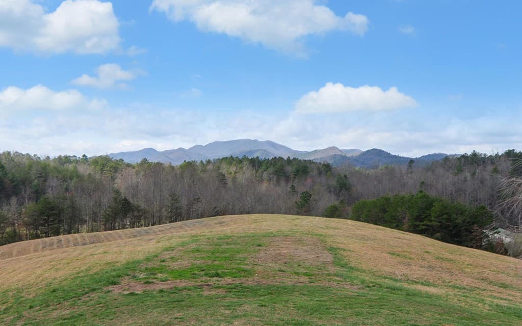 140 Newman Road, Farner TN 37333 - Photo