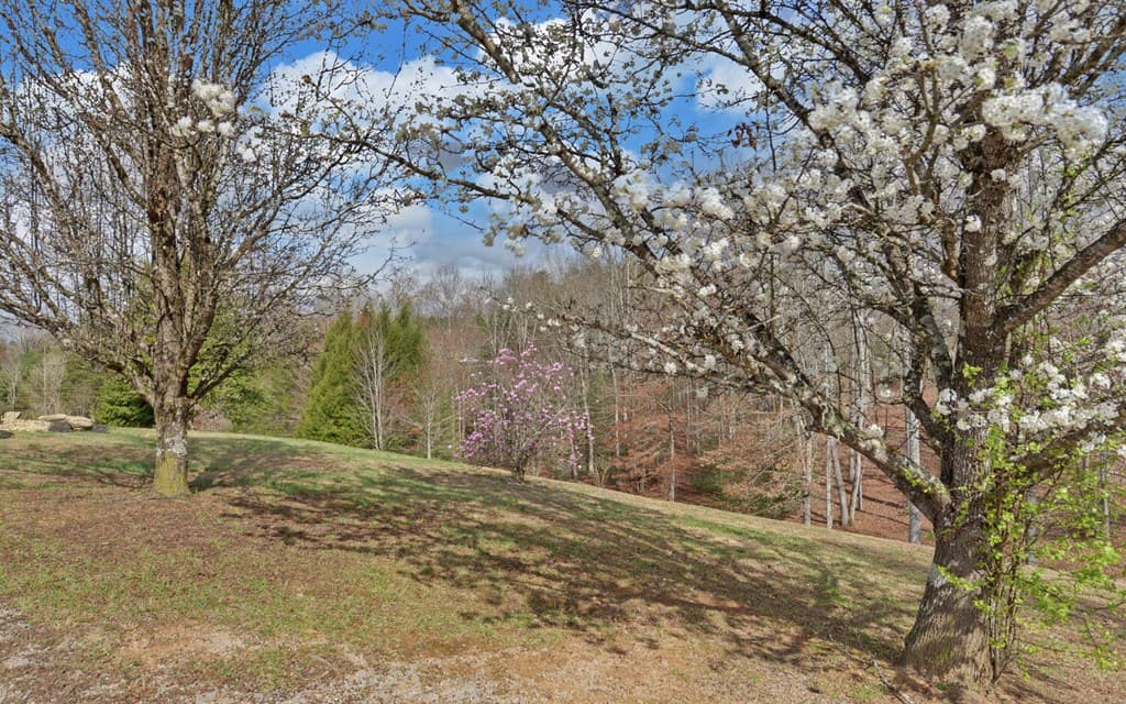 140 Newman Road, Farner TN 37333 - Photo