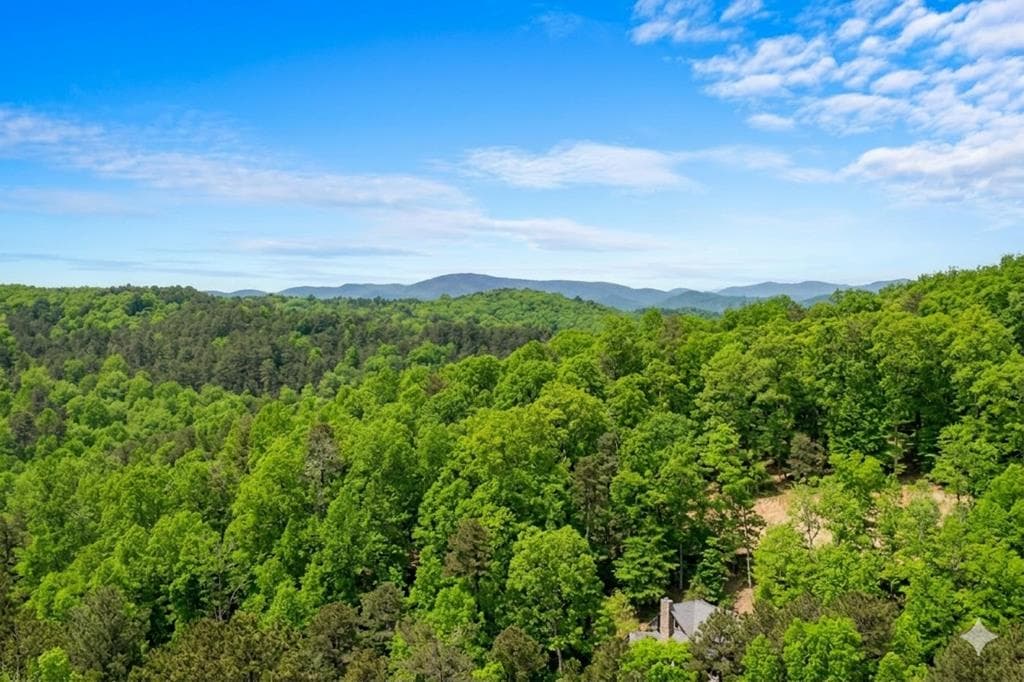 406 Hope Drive, Blue Ridge GA 30513 - Photo