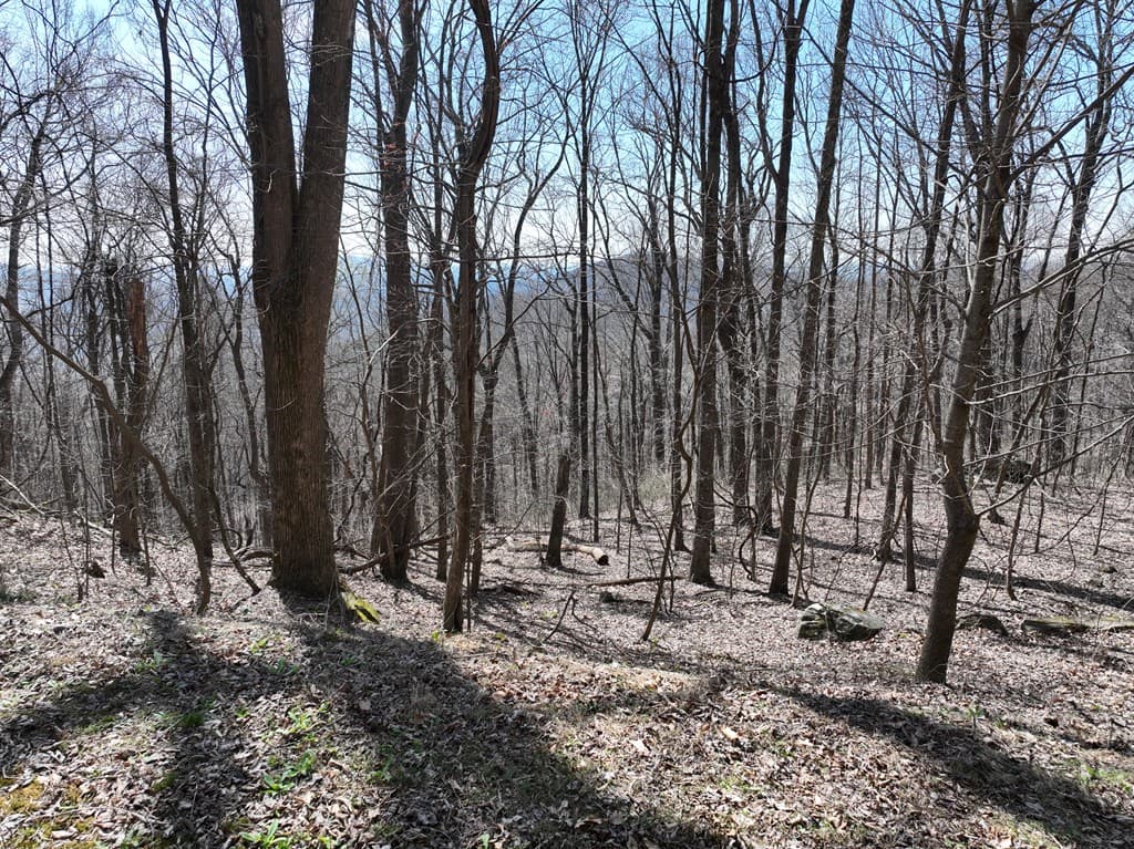 243 Dragon Trail, Ellijay GA 30536 - Photo