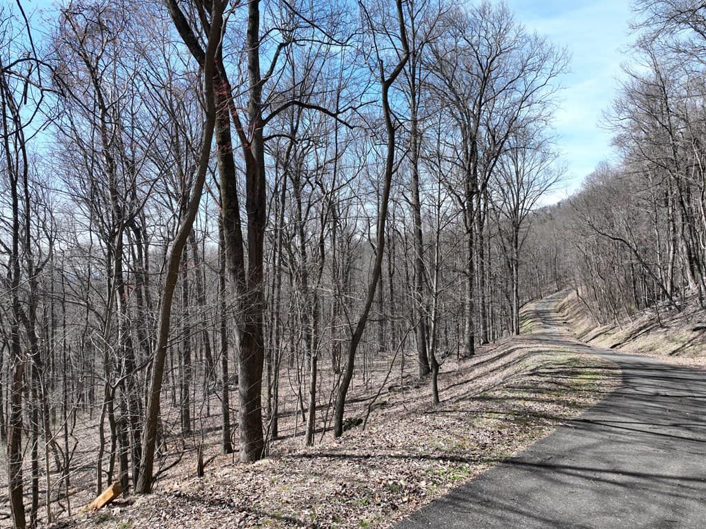 243 Dragon Trail, Ellijay GA 30536 - Photo