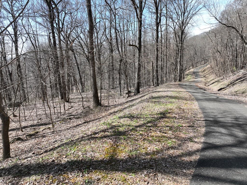 243 Dragon Trail, Ellijay GA 30536 - Photo