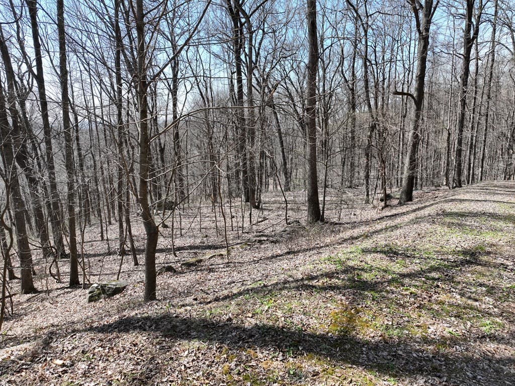 243 Dragon Trail, Ellijay GA 30536 - Photo