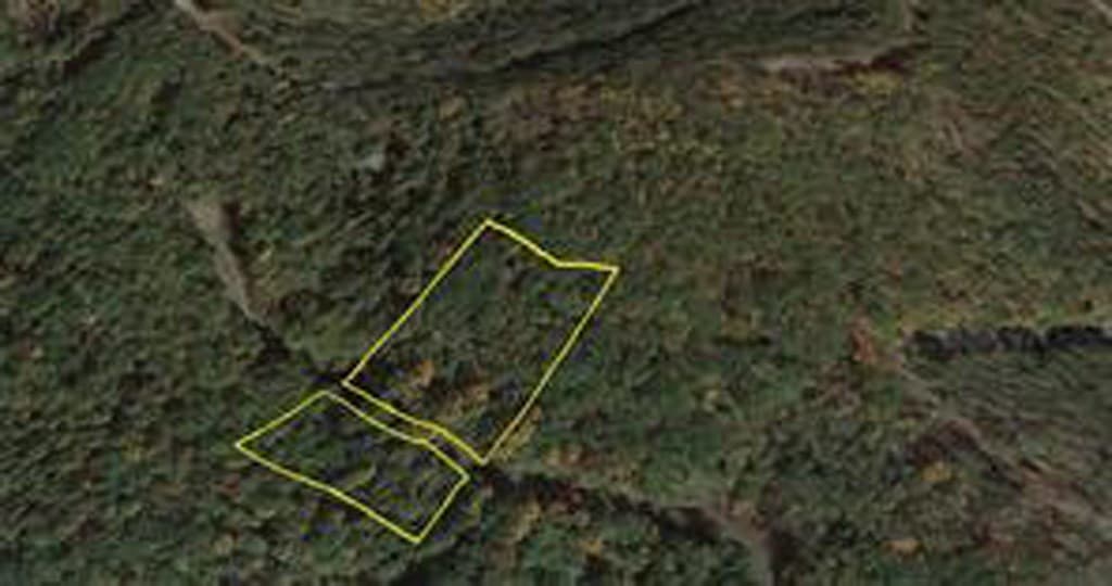 243 Dragon Trail, Ellijay GA 30536 - Photo