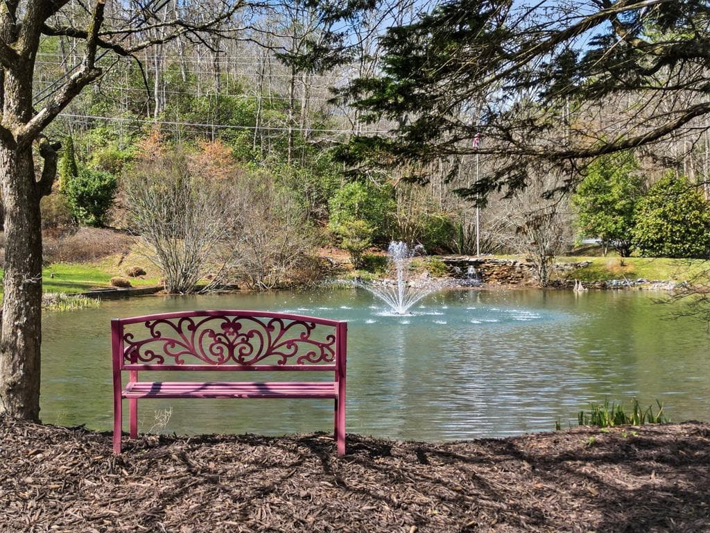 25 Walhala Trail, Blue Ridge GA 30513 - Photo