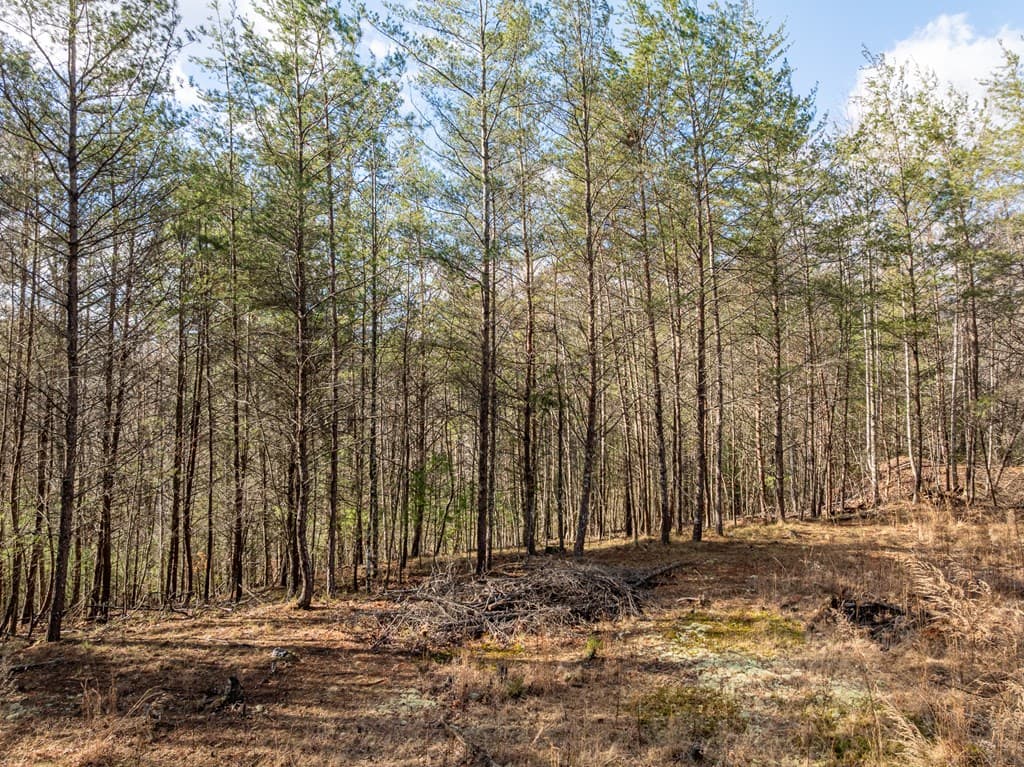 35LT Mill Creek Trail, Cleveland GA 30528 - Photo