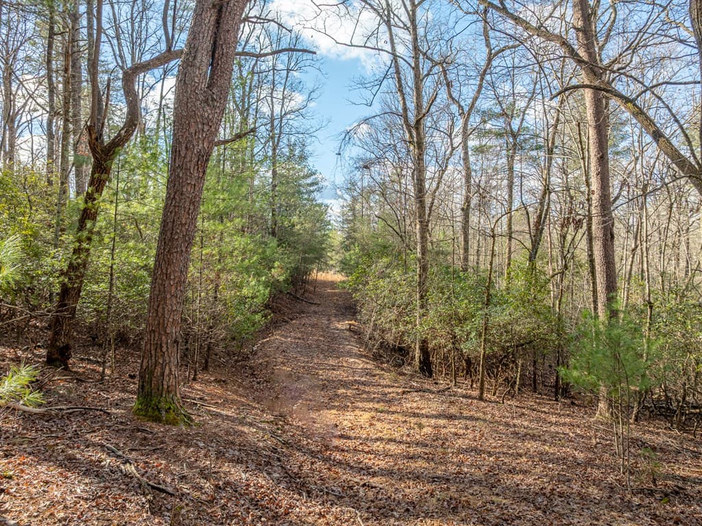 35LT Mill Creek Trail, Cleveland GA 30528 - Photo
