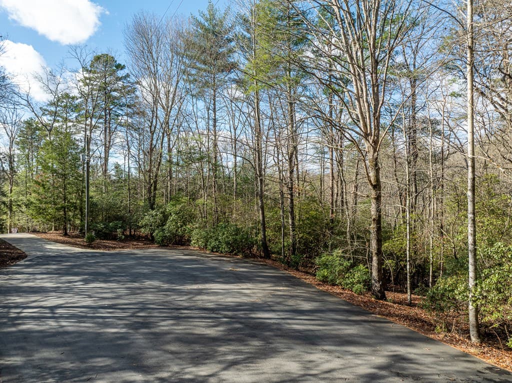 35LT Mill Creek Trail, Cleveland GA 30528 - Photo