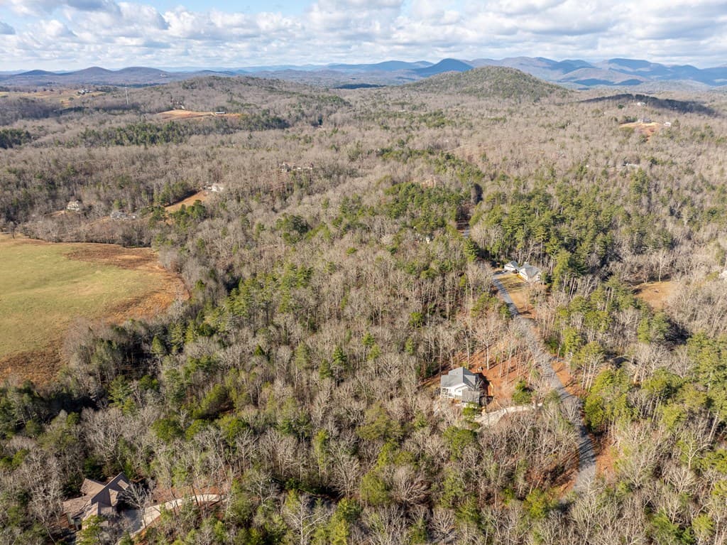 35LT Mill Creek Trail, Cleveland GA 30528 - Photo