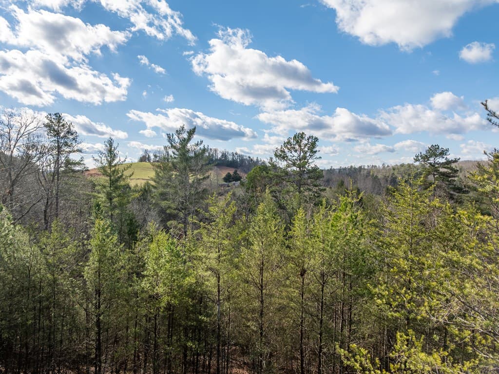 35LT Mill Creek Trail, Cleveland GA 30528 - Photo