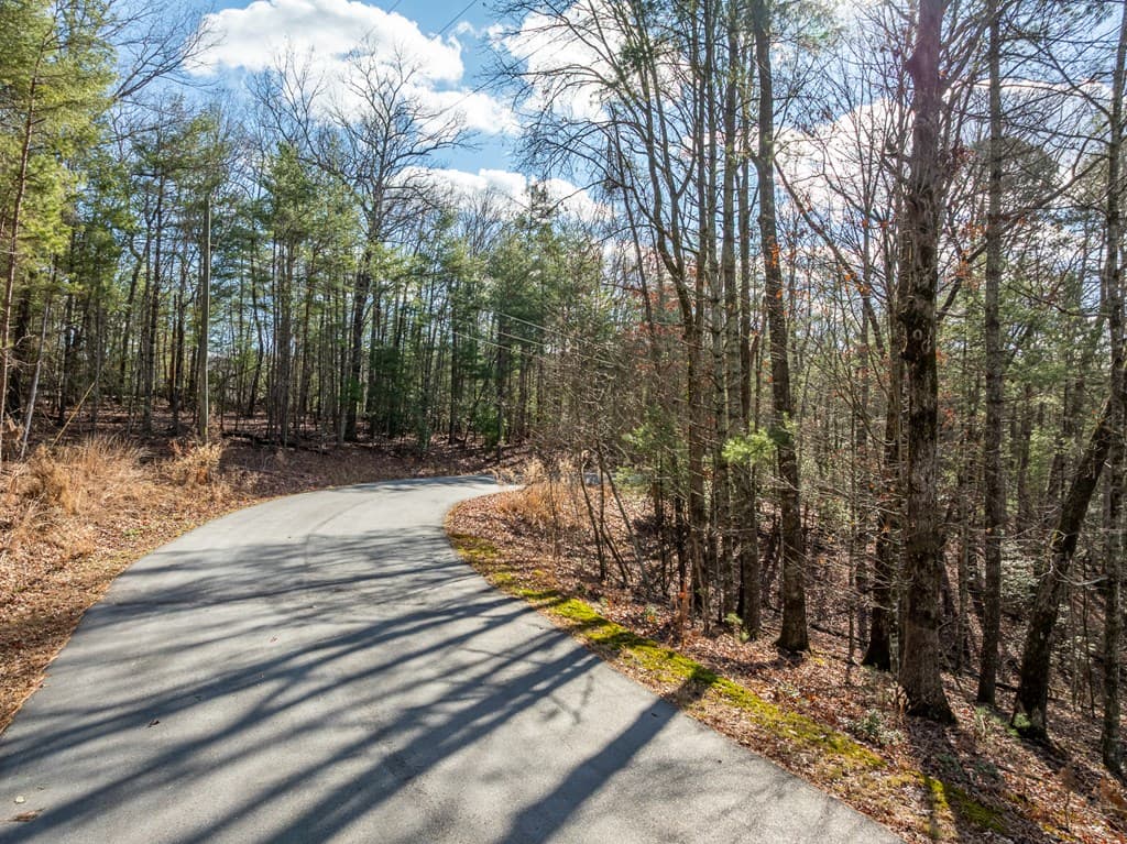 35LT Mill Creek Trail, Cleveland GA 30528 - Photo