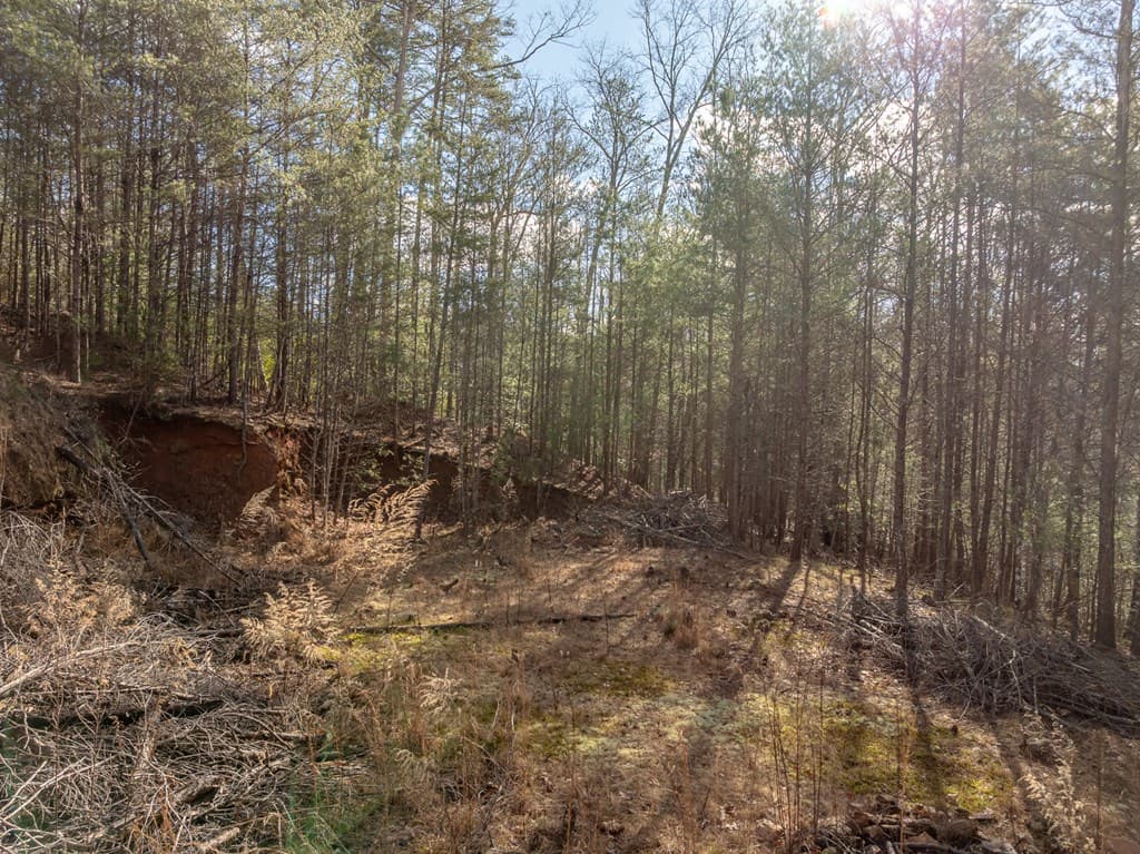 35LT Mill Creek Trail, Cleveland GA 30528 - Photo