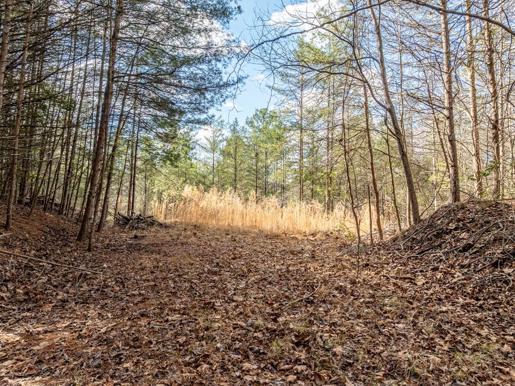35LT Mill Creek Trail, Cleveland GA 30528 - Photo