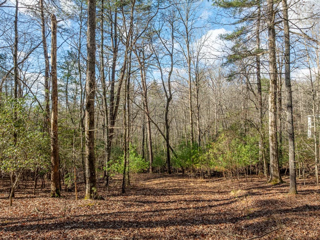 35LT Mill Creek Trail, Cleveland GA 30528 - Photo