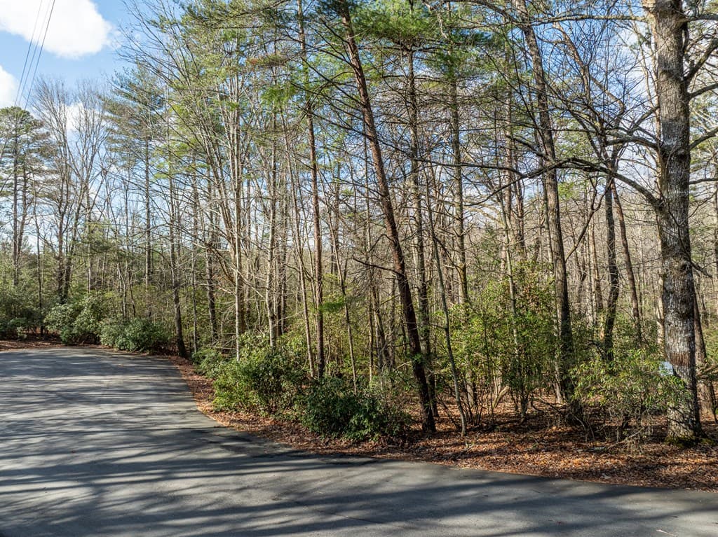 35LT Mill Creek Trail, Cleveland GA 30528 - Photo