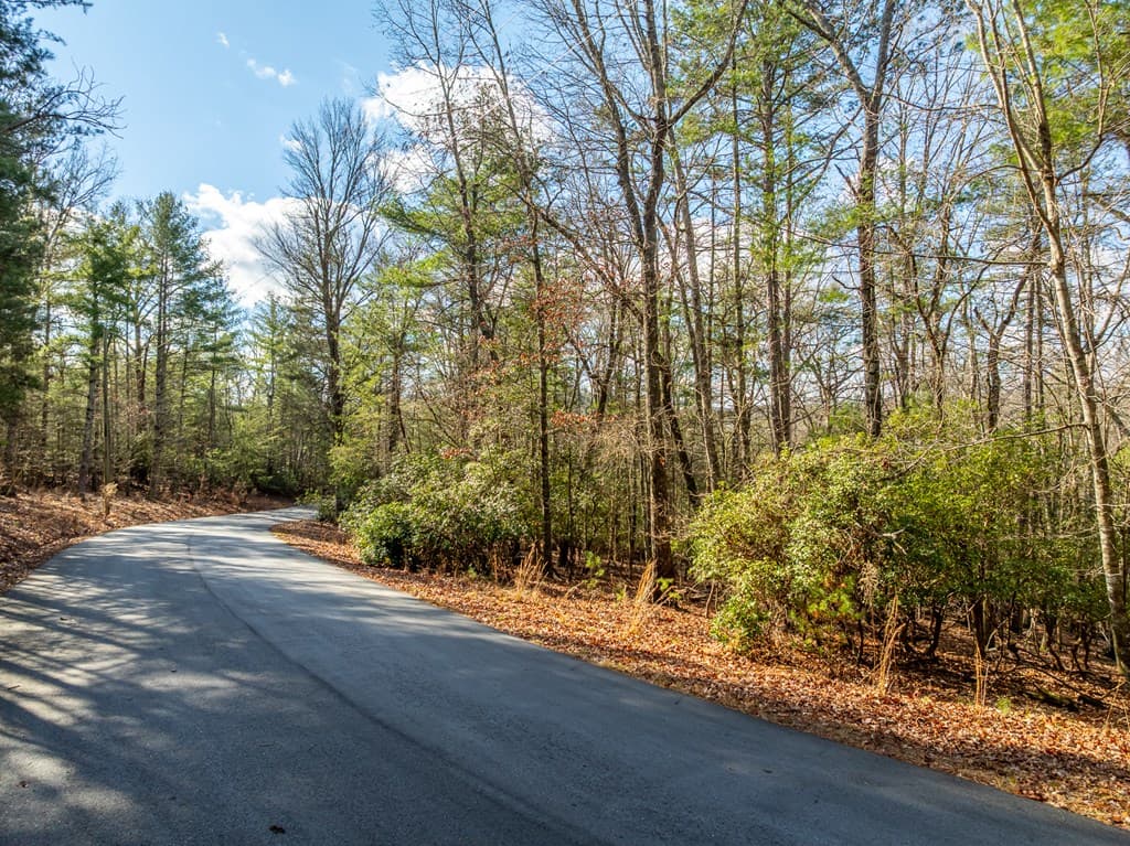 35LT Mill Creek Trail, Cleveland GA 30528 - Photo