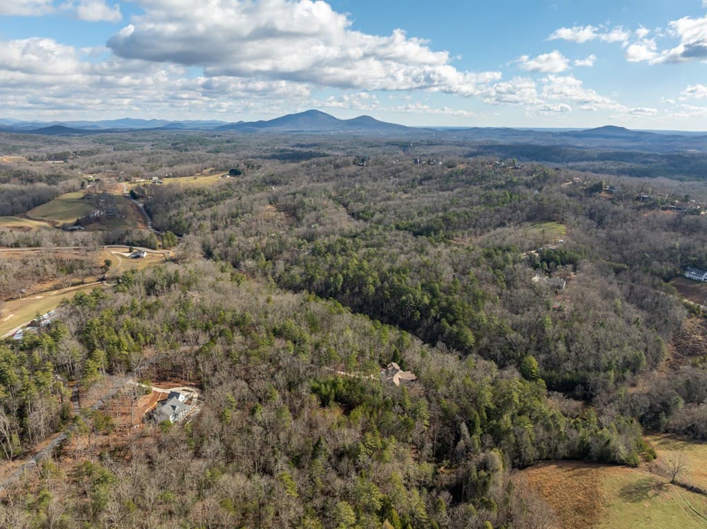 35LT Mill Creek Trail, Cleveland GA 30528 - Photo