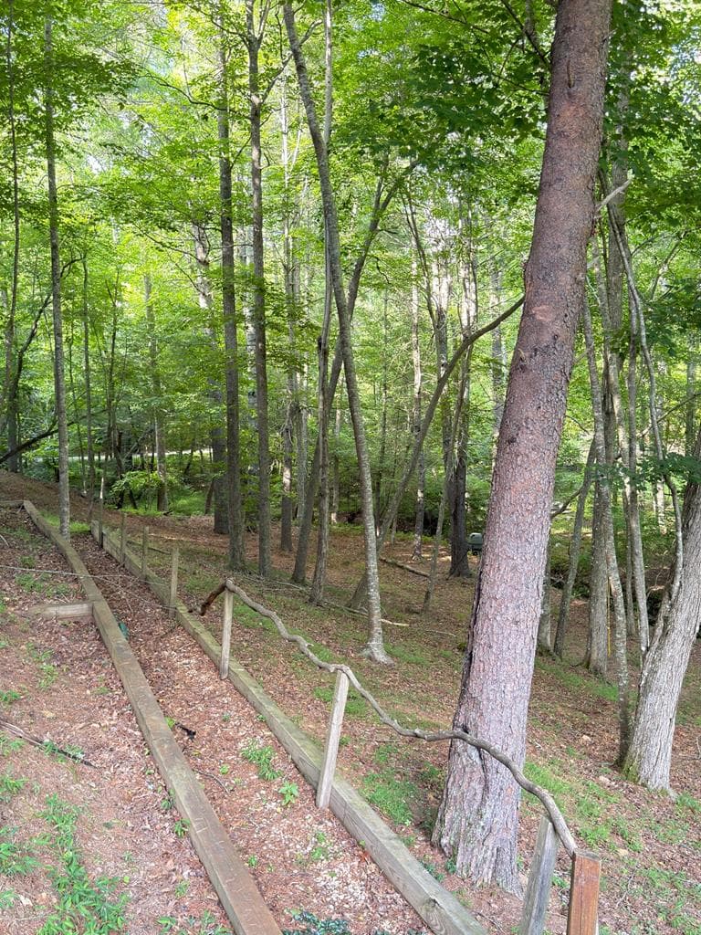 35 Wunder Bear Ridge Road, Morganton GA 30560 - Photo