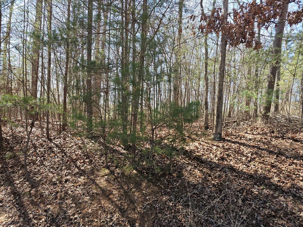 LOT 39 Farmers Circle, Mineral Bluff GA 30559 - Photo