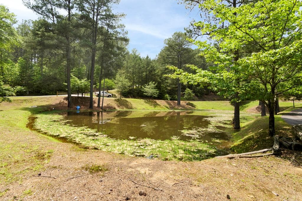 126 Hummingbird Way, Copperhill TN 37317 - Photo