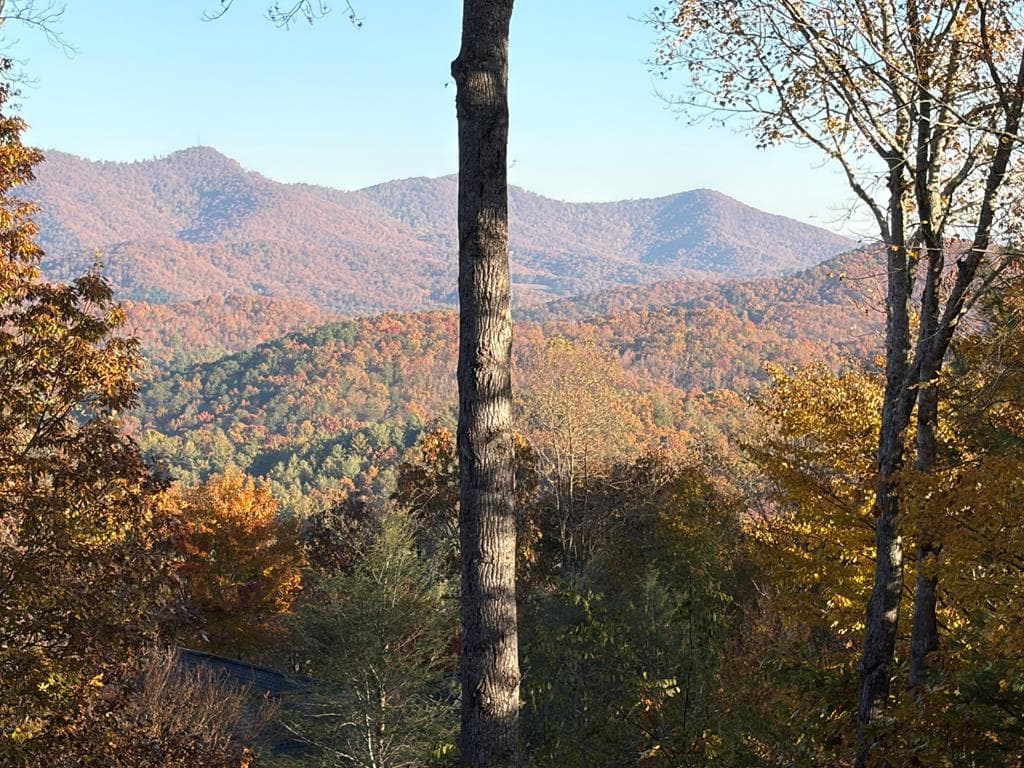 25 Unaka Trail, Mineral Bluff GA 30559 - Photo