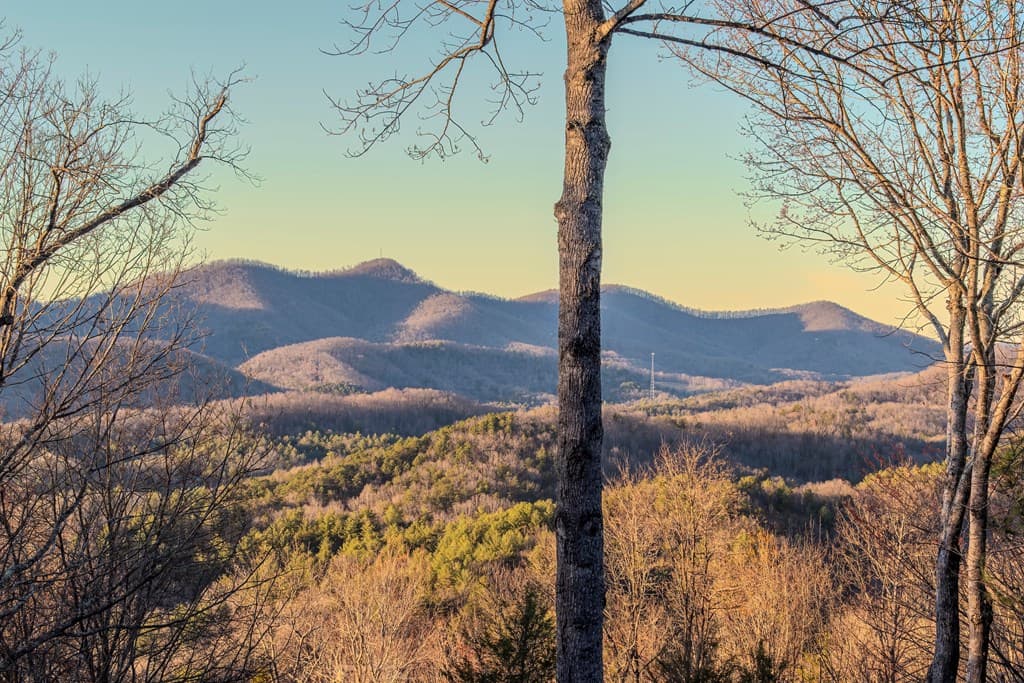 25 Unaka Trail, Mineral Bluff GA 30559 - Photo