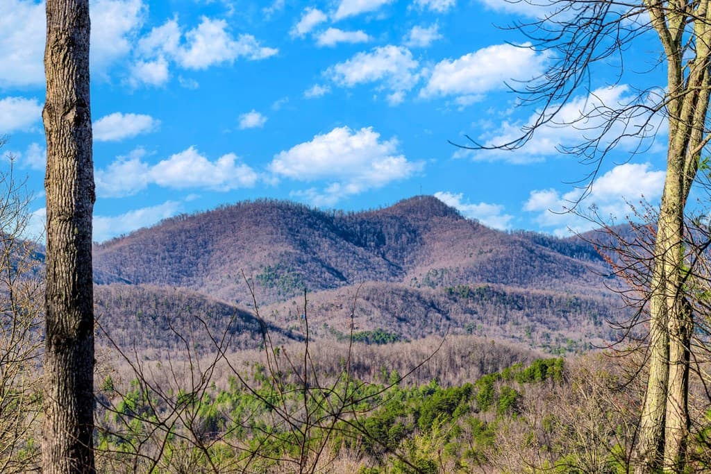 25 Unaka Trail, Mineral Bluff GA 30559 - Photo