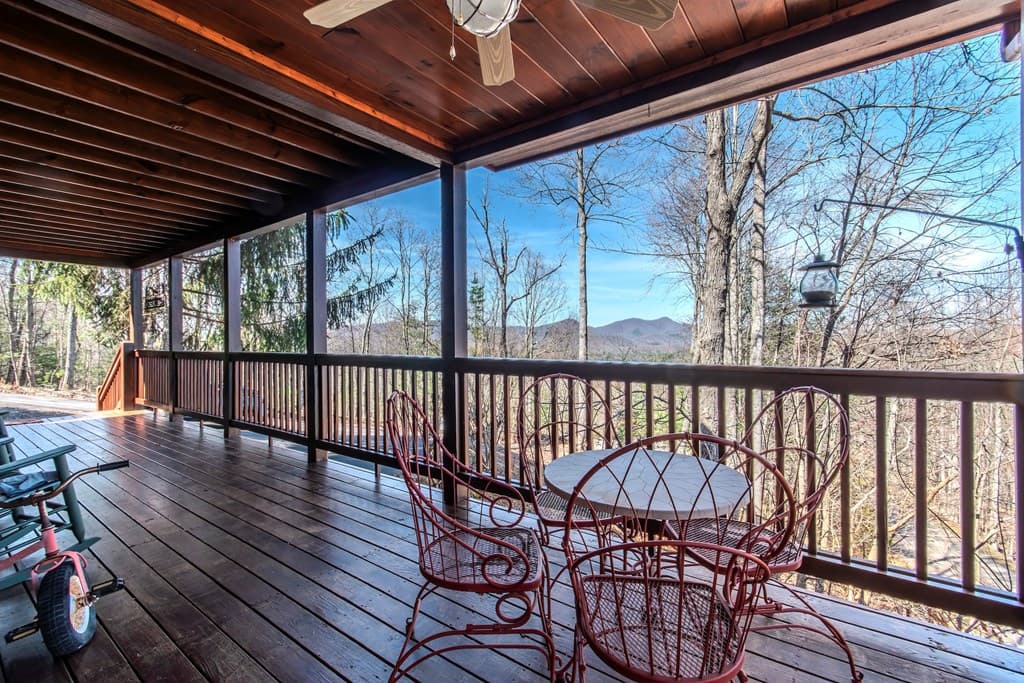 25 Unaka Trail, Mineral Bluff GA 30559 - Photo
