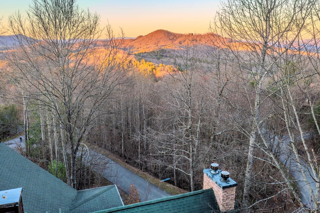 25 Unaka Trail, Mineral Bluff GA 30559 - Photo