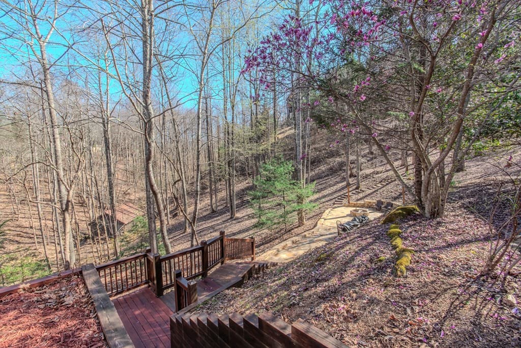 25 Unaka Trail, Mineral Bluff GA 30559 - Photo