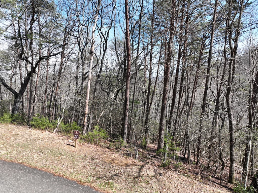 200 Stone Cliff Drive, Ellijay GA 30536 - Photo