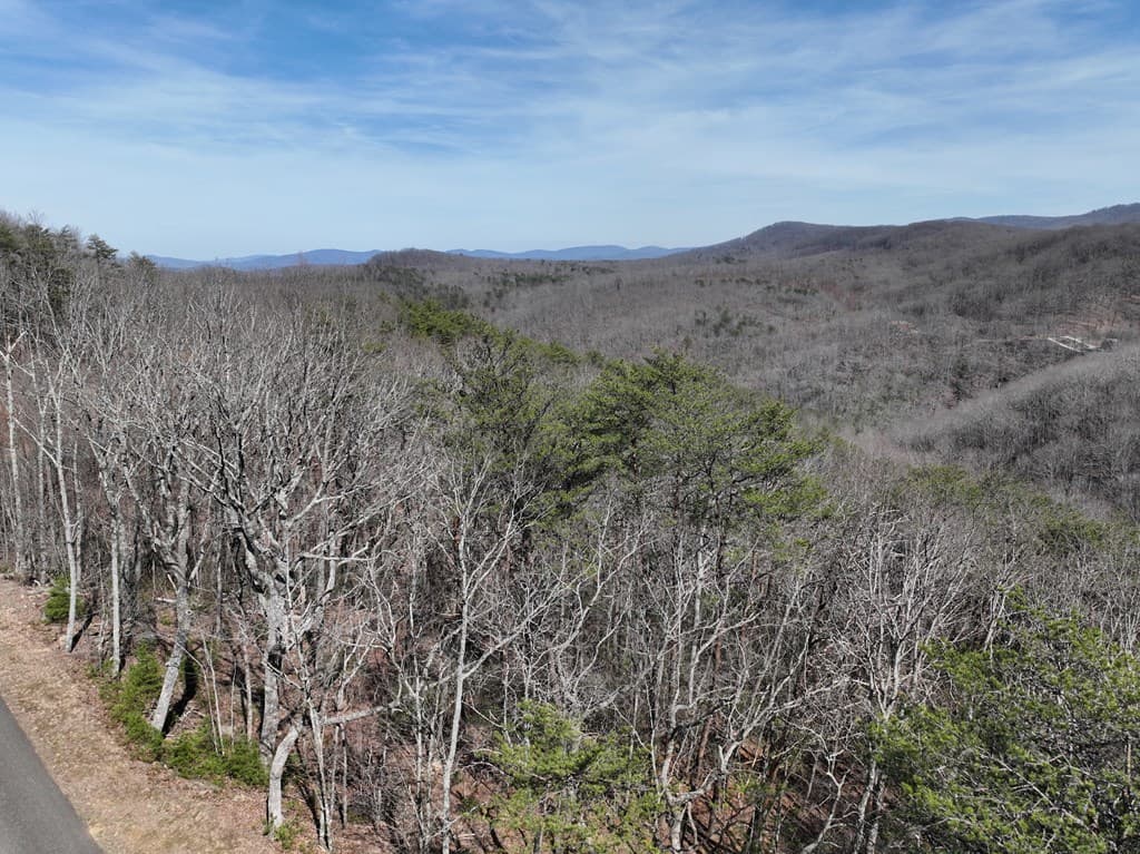 200 Stone Cliff Drive, Ellijay GA 30536 - Photo