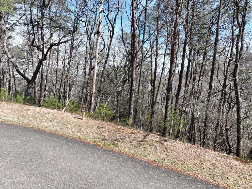 200 Stone Cliff Drive, Ellijay GA 30536 - Photo