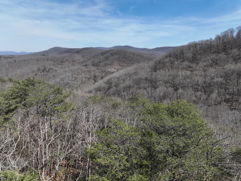 200 Stone Cliff Drive, Ellijay GA 30536 - Photo