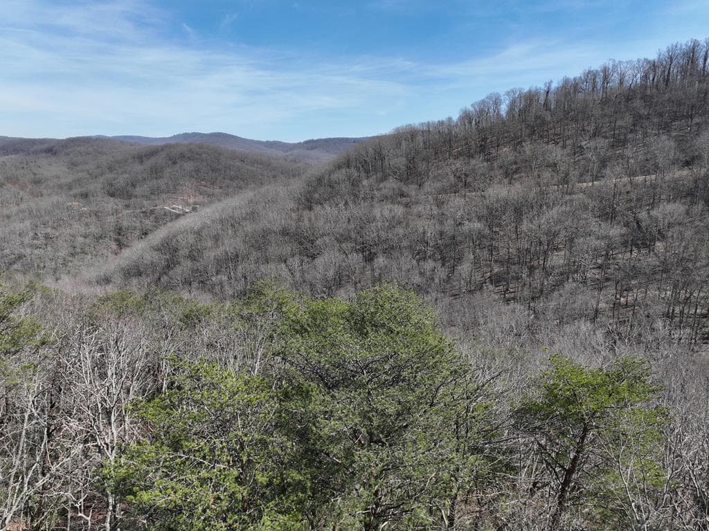 200 Stone Cliff Drive, Ellijay GA 30536 - Primary photo