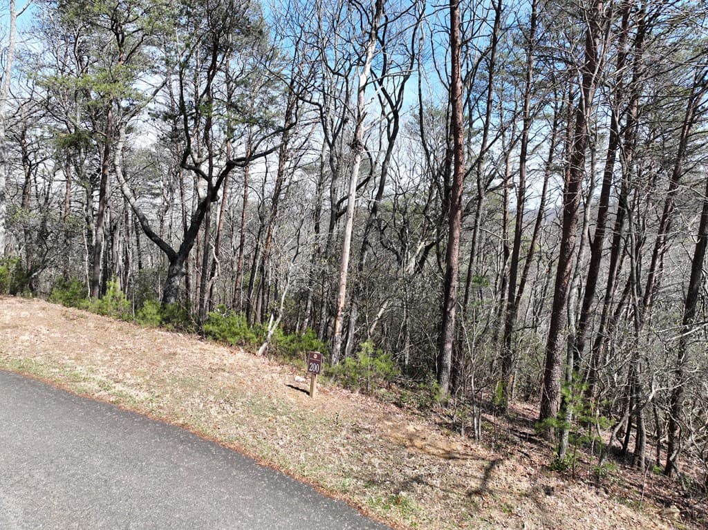 200 Stone Cliff Drive, Ellijay GA 30536 - Photo