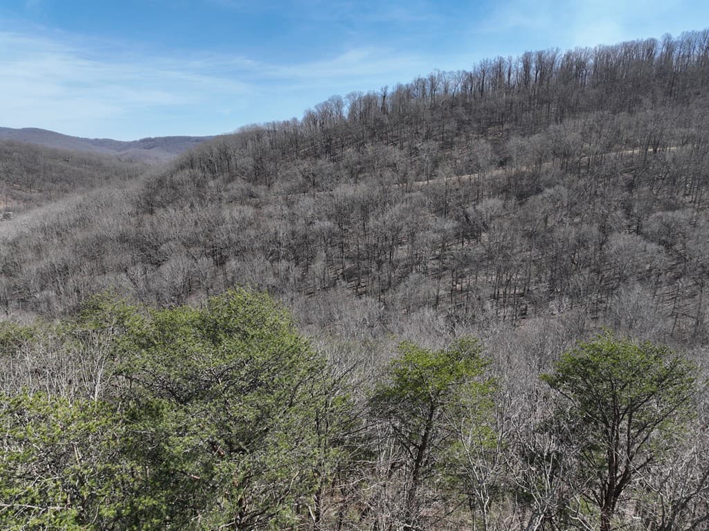 200 Stone Cliff Drive, Ellijay GA 30536 - Photo